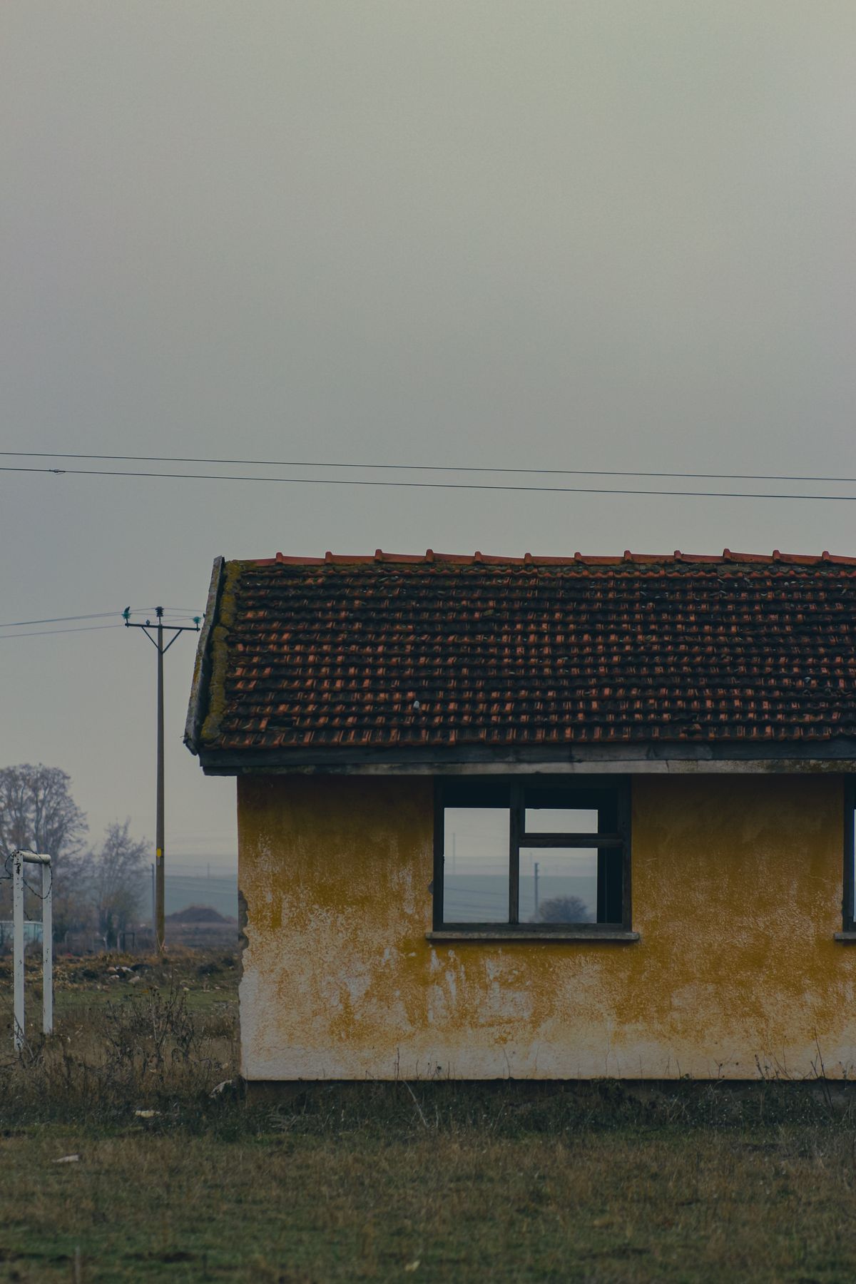 Prispa Sorocii